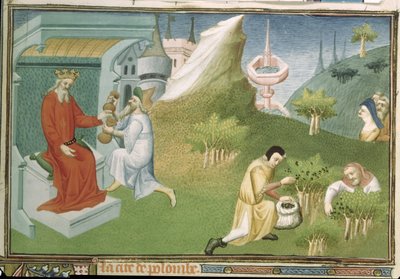 Récolte de poivre et offrande des fruits à un roi, du 